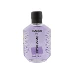 ادوپرفیوم مردانه رودیر اکو مدل سیلور سنت silver scent حجم 100 میلی لیتر