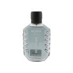 ادوپرفیوم مردانه رودیر اکو مدل مونت بلنک Mont Blanc حجم 100 میلی لیتر