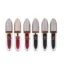 salute-tint-lip