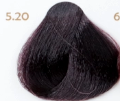 رنگ مو تمپتینگ سری AUBERGINE SHADES حجم 100 میلی لیتر