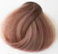 رنگ مو سلتون مدل Beige حجم 120 میلی لیتر
