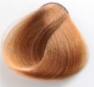 رنگ مو سری طبیعی Natural حجم 120 میلی لیتر