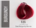 رنگ مو سلتون مدل Burgundy حجم 120 میلی لیتر