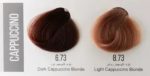 رنگ مو سلتون مدل Cappoccino حجم 120 میلی لیتر