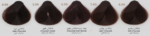 رنگ مو تمپتینگ سری CHOKOLATE حجم 100 میلی لیتر