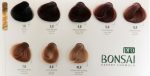 رنگ مو بن سای پرو بدون آمونیاک مدل NATURAL حجم 100 میلی لیتر