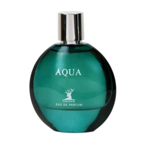 ادوپرفیوم مردانه اسپیگان مدل Aqua حجم 100 میلی لیتر