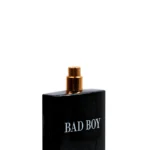 ادوپرفیوم مردانه رودیر مدل Bad Boy حجم 100 میلی لیتر