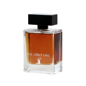 ادوپرفیوم مردانه اسپیگان مدل The Only One حجم 100 میلی لیتر
