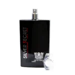 ادوپرفیوم رودیر مردانه مدل Silver Secret حجم 100 میلی لیتر
