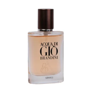 عطر جیبی مردانه برندینی مدل Acqua Di Gio حجم 33 میلی لیتر